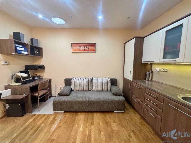 1+kk byt s podlahou s dřevěným dekorem, šedou pohovkou a pracovním stolem.