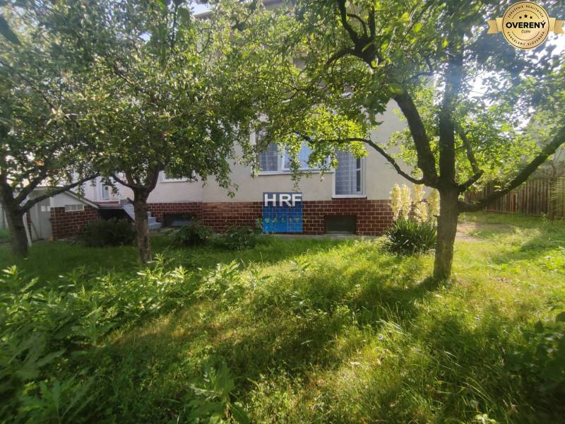 Zahrada u rodinného domu na ulici Vieska v Radošovcích. Zelená tráva a stromy.