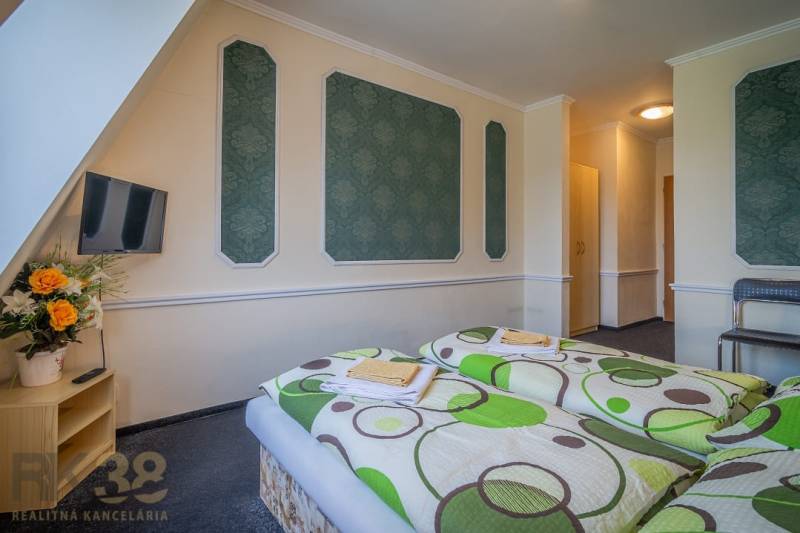 Pokoj v hotelích a penzionech s dvěma postelemi, televizí a květinami na stolku.