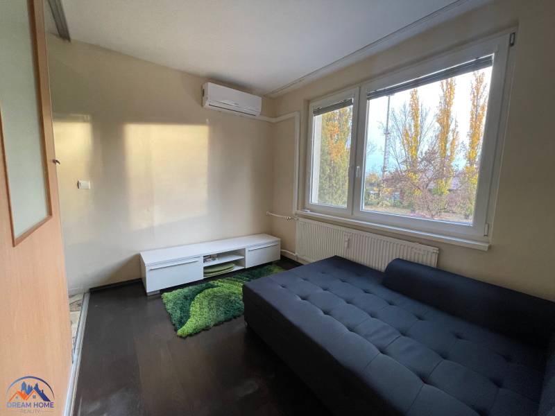 Pokoj v 1-pokojovém bytě s gaučem, zeleným kobercem a podlahou s dřevěným dekorem.