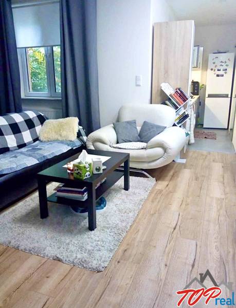 Obývací pokoj v jednopokojovém bytě s podlahou s dřevěným dekorem a pohodlným posezením.