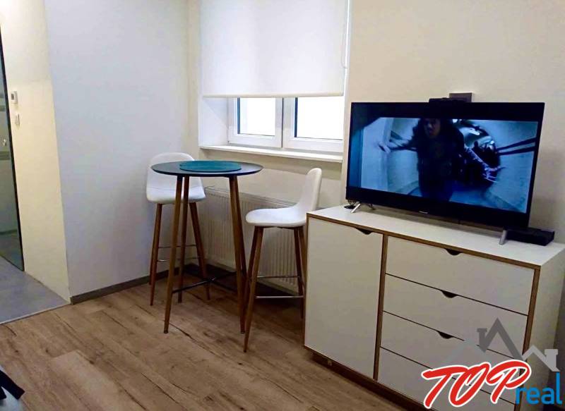 Interiér 1-pokojového bytu s televizí, barovým stolkem a podlahou s dřevěným dekorem.