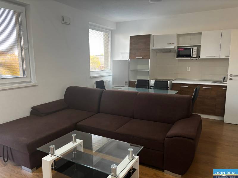 Obývací pokoj s kuchyňským koutem, hnědou sedačkou a podlahou s dřevěným dekorem v 2-pokojovém bytě.