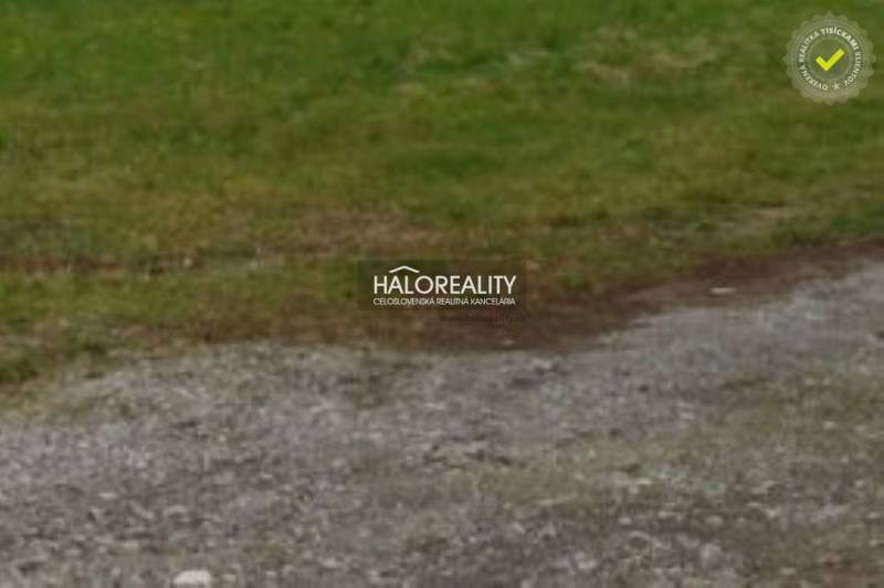 Zeleň na pozemku v Dulovej Vsi určeném k bydlení.