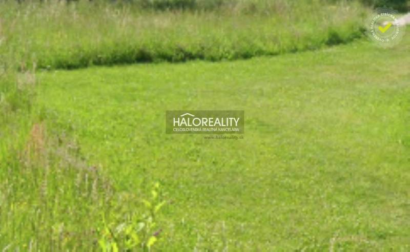 Zelený pozemek v Dulové Vsi, vhodný pro bydlení, obklopený přírodou.