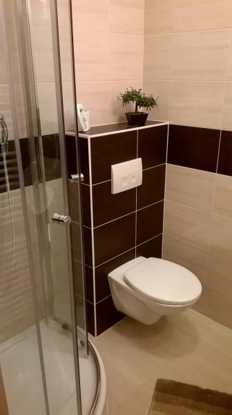 Koupelna se sprchovým koutem, závěsným WC a rostlinou v garsonce.