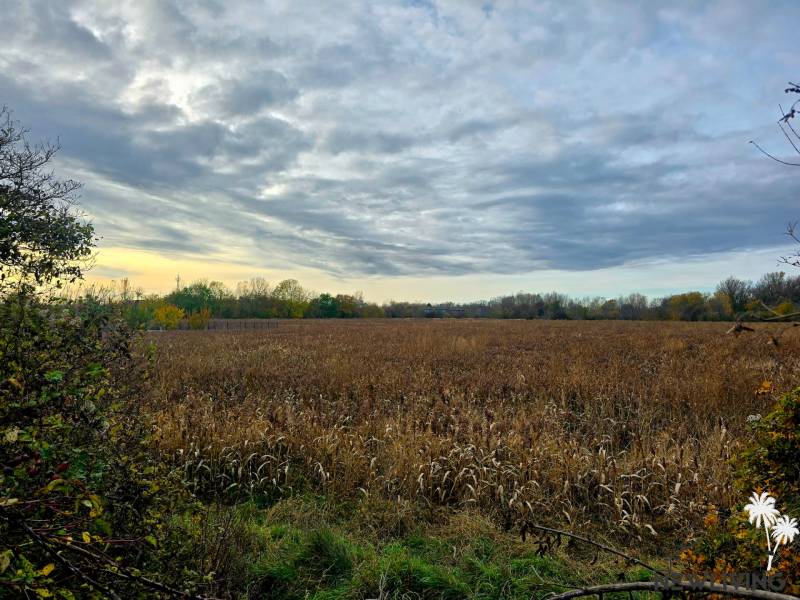 Krajina s poli u Moravan nad Váhom na ulici Na Výhone, kategorie Pozemky - bydlení.