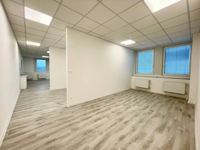 Kanceláře s bílým stropem a podlahou s dřevěným dekorem, dvě velká okna.