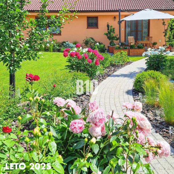 Zahrada rodinného domu v Bílkových Humencích s růžovými pivoňkami a chodníkem.