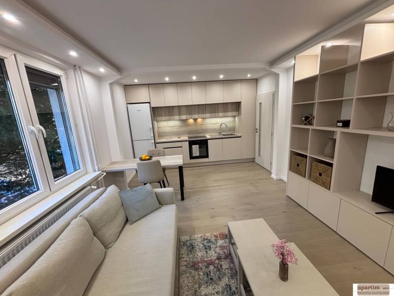 Obývací pokoj s kuchyní a podlahou s dřevěným dekorem v 2pokojovém bytě.