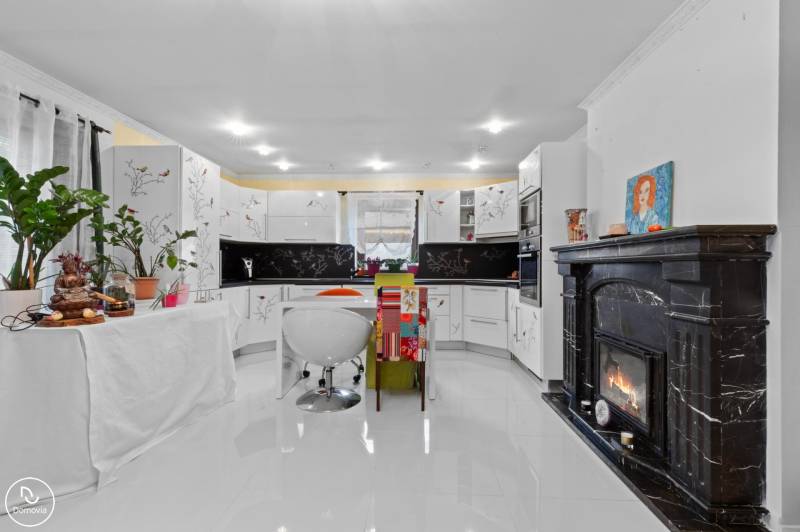 Kuchyně v rodinném domě s krbem, bílými skříňkami a rostlinami, podlaha s dřevěným dekorem.