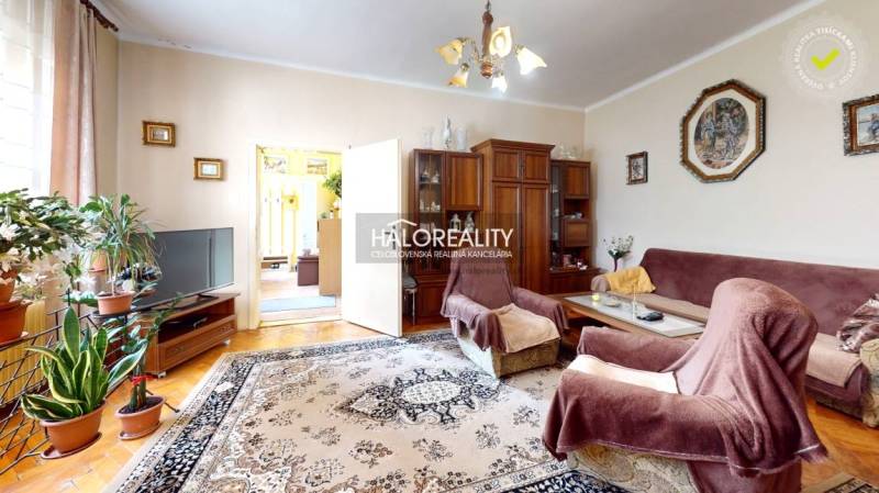 Obývací pokoj v rodinném domě s rustikálním nábytkem a množstvím pokojových rostlin.