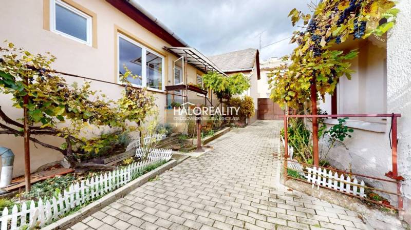 V Lučenci rodinný dům s terasou, zahrádkou a vinnou révou na dlážděné cestičce.