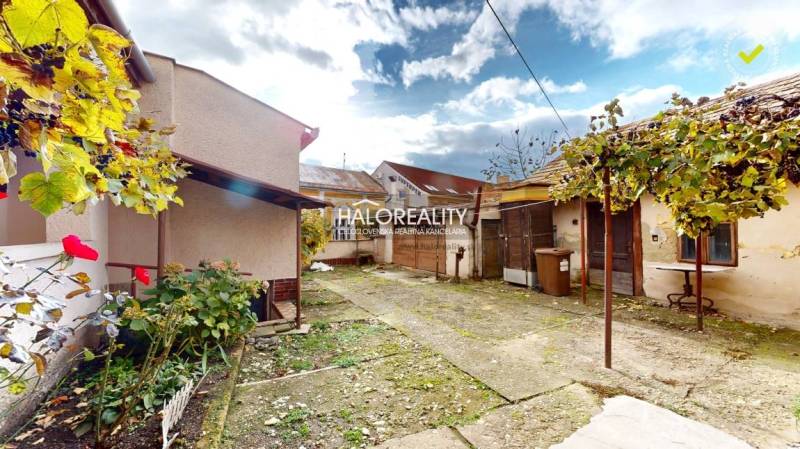 Dvůr rodinného domu v Lučenci s vinnou révou a rozmanitou vegetací.