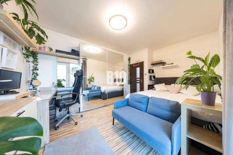 Rodinný dům nabízí podlahu s dřevěným dekorem, modrou pohovku a pracovní kout.