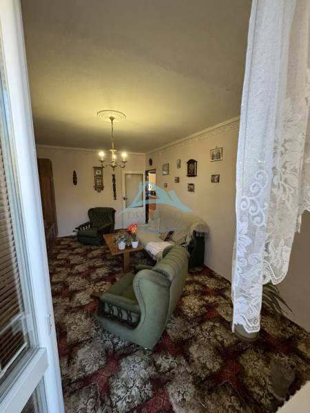 Obývací pokoj v 3-pokojovém bytě se zeleným nábytkem a dekorativním kobercem.