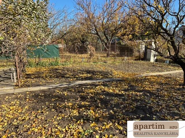 Podzimní zahrada v Bratislavě - Ružinov, Střední, s opadaným listím a stromy.