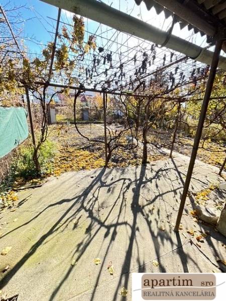 Zahrady na Střední ulici v Bratislavě - Ružinově s popadaným listím vinné révy.