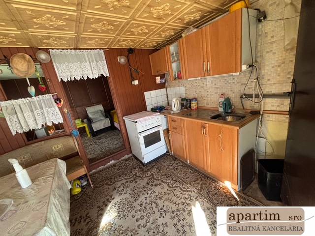 Kuchyně s dřevěným dekorem, pohovkou a kobercem v Zahradách.