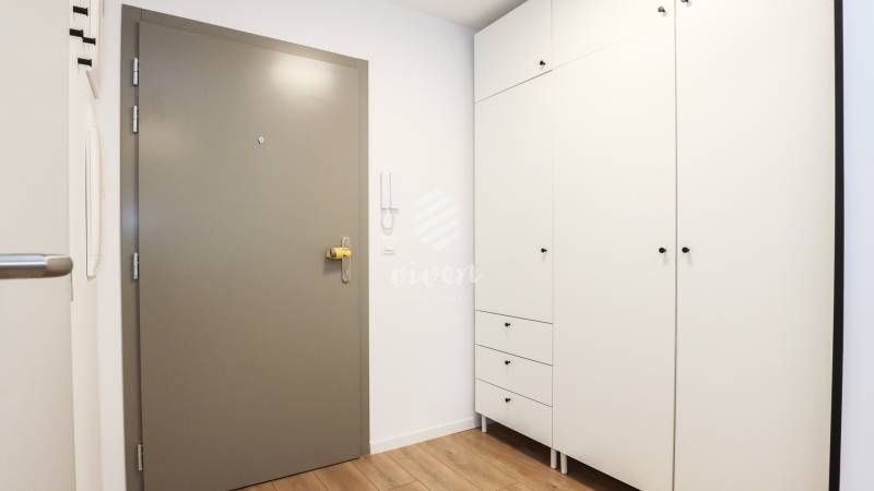 Vstupní hala v 1-pokojovém bytě s bílou skříní a podlahou s dřevěným dekorem.