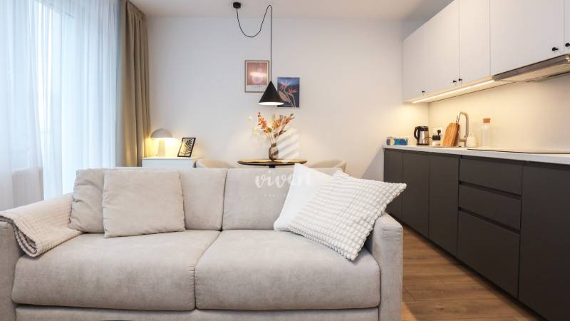 Obývací část s pohovkou a kuchyňským koutem v 1-pokojovém bytě s podlahou s dřevěným dekorem.