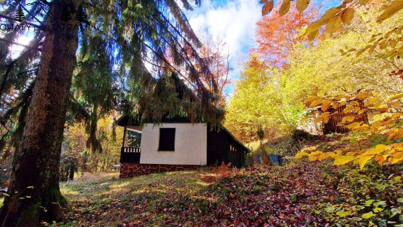 Chata v podzimním lese na ulici Tále v Bystré, obklopená barevnými stromy.