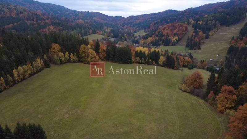 Krásné podzimní lesy obklopují rekreační pozemky v Lazy pod Makytou na Čertově.