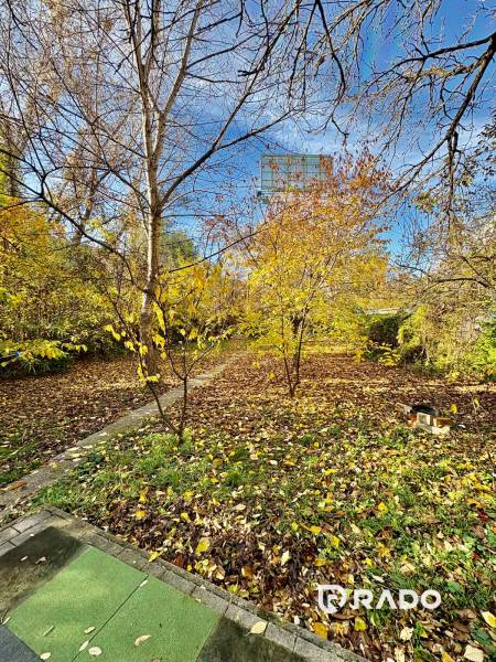 Zahrada u rodinného domu na Hraniční ulici v Bratislavě - Prievoz v podzimním období.