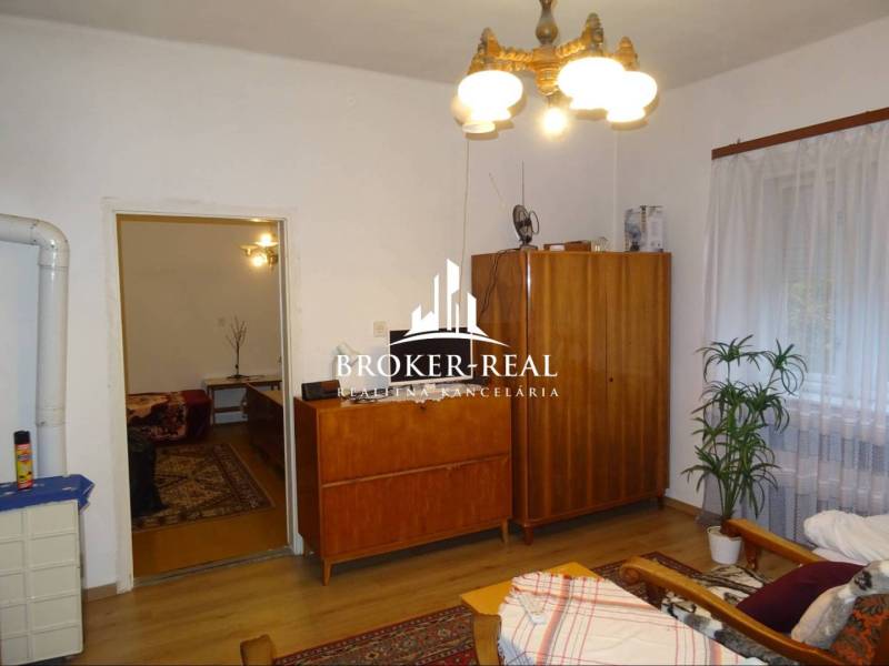 Obývací pokoj v rodinném domě s dřevěnými skříňkami, sedačkou a květinou.