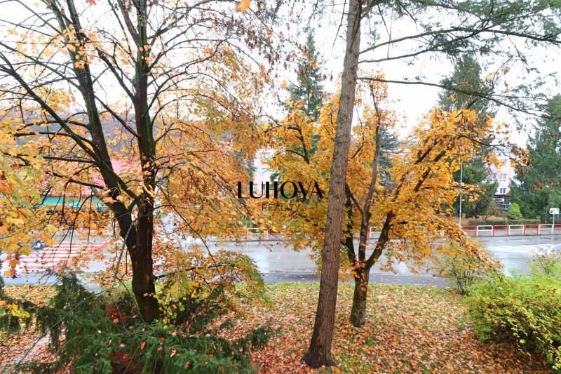 Podzimní scenérie se stromy na Štefánikově ulici v Púchově, viditelná z 3-pokojového bytu.