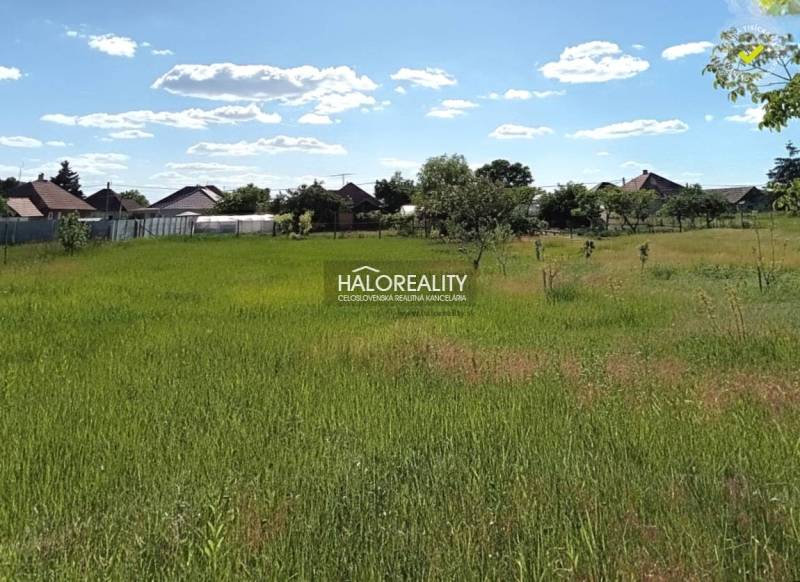 Travnaté plochy v zahradách Marcelové, obklopené domy za slunečného počasí.