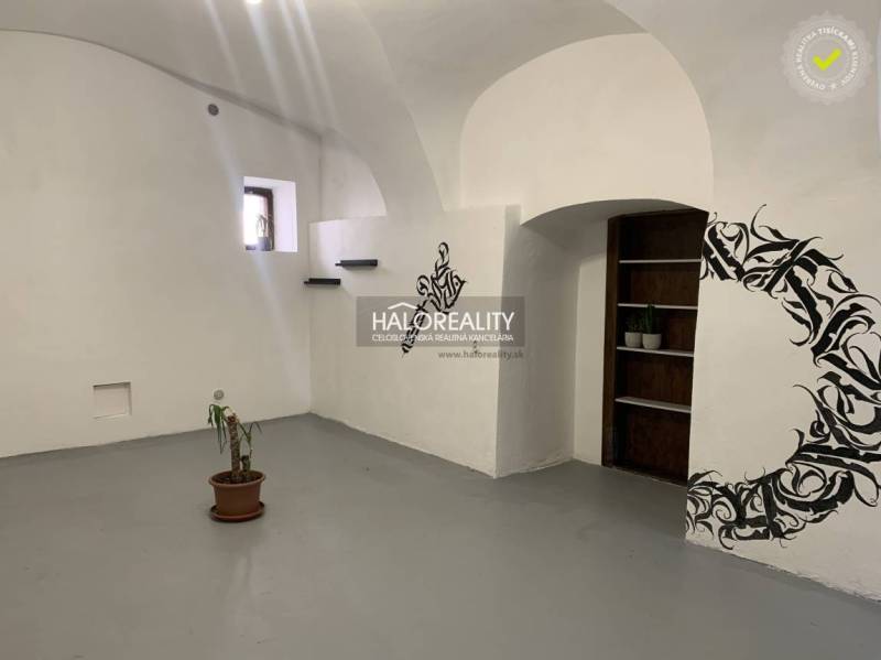 Kanceláře s bílými stěnami, květinovým vzorem a malou pokojovou rostlinou.