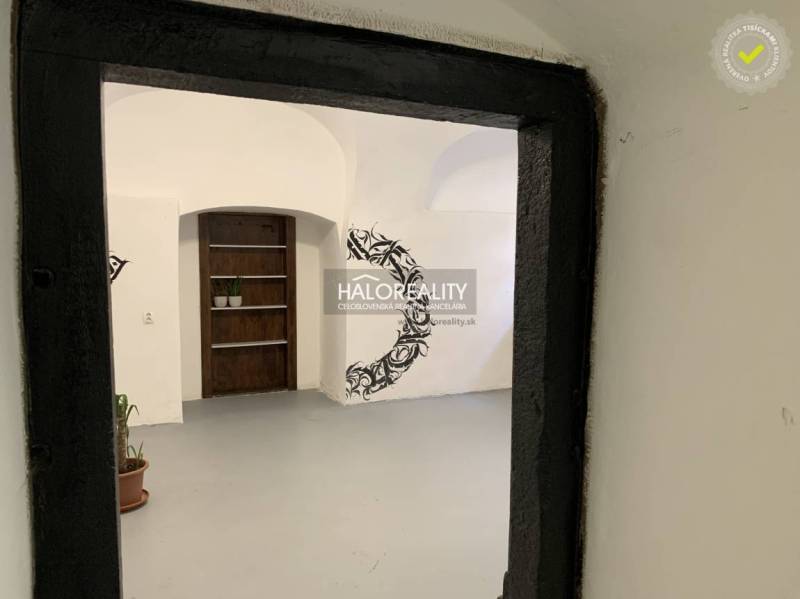 Interiér kanceláří s bílými stěnami a černými ozdobami, rostliny na podlaze.