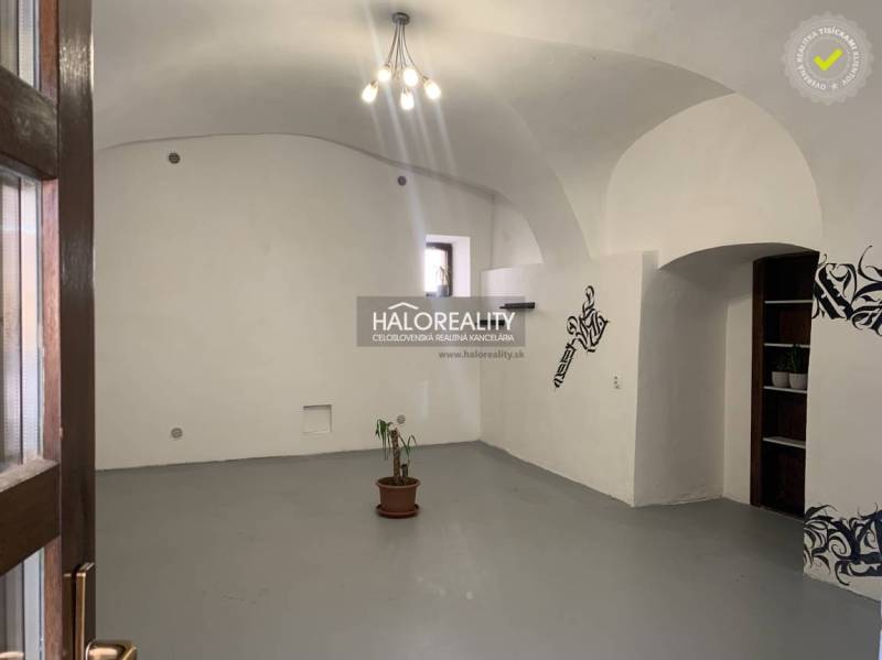 Interiér kanceláří s bílými stěnami, obloukovým stropem a rostlinou v květináči.