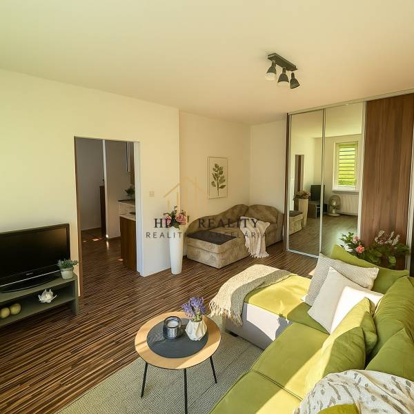 Obývací pokoj v jednopokojovém bytě s podlahou s dřevěným dekorem, zelená sedačka.