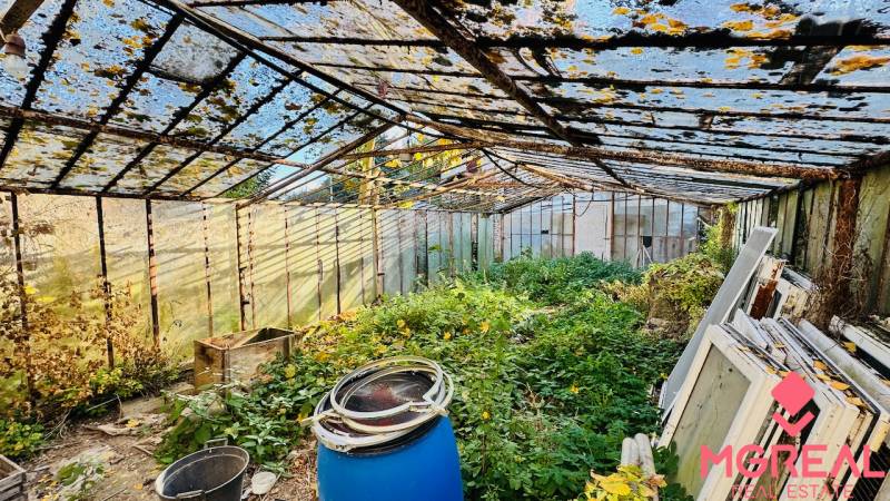 Opuštěný skleník v areálu rodinného domu v Brodzanech, zarostlá vegetace, staré konstrukce.