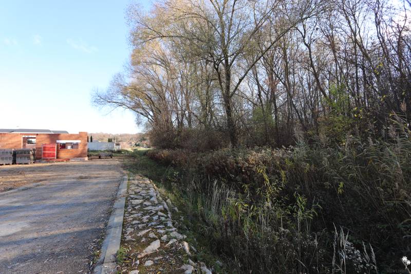 Stavba rodinného domu v Nitře na Drieňové ulici, obklopená přírodou a stromy.