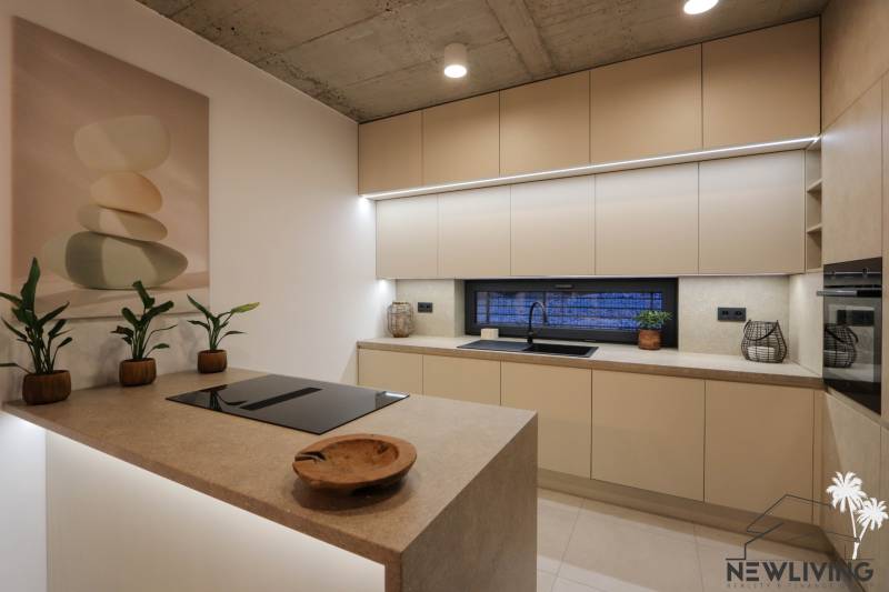 Kuchyně v rodinném domě s rostlinami a dřezem, podlaha s dřevěným dekorem.