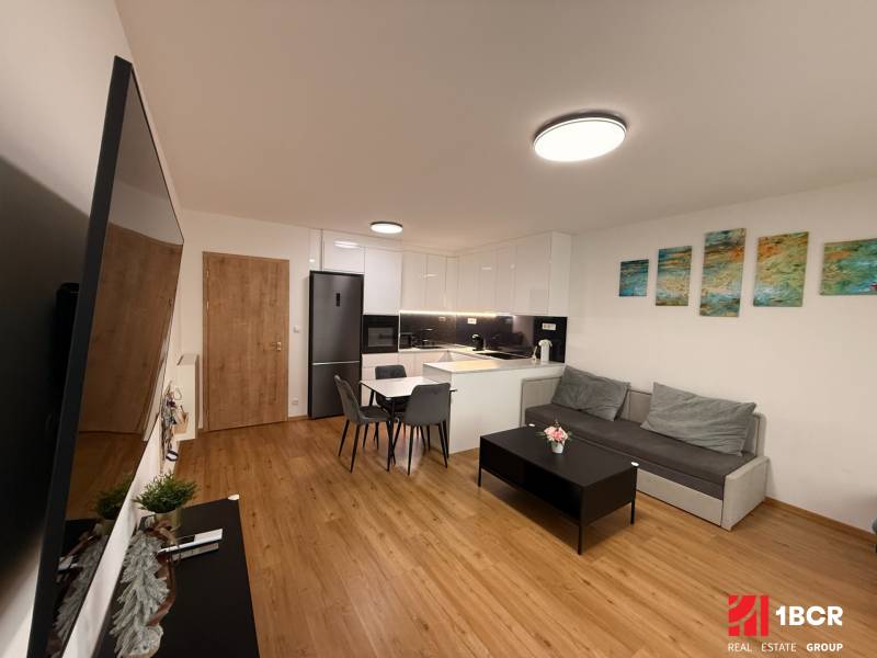 Obývací pokoj s kuchyní a podlahou s dřevěným dekorem v 2pokojovém bytě.