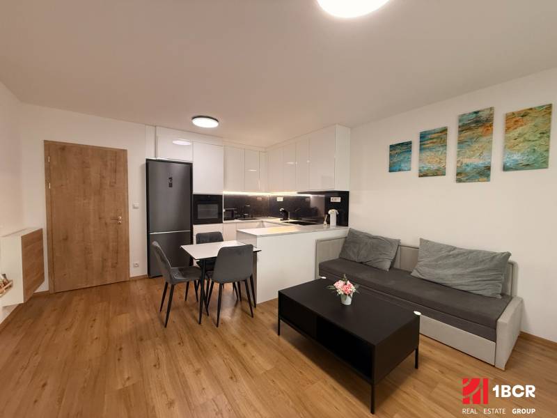 Obývací pokoj v 2pokojovém bytě s kuchyní, pohovkou a podlahou s dřevěným dekorem.