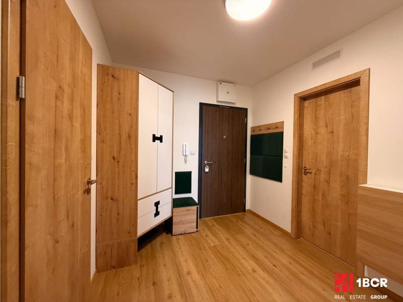 Vstupní hala 2pokojového bytu s podlahou s dřevěným dekorem a dveřmi ze stejného materiálu.