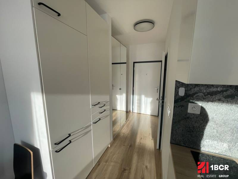 Chodba v 1-pokojovém bytě s bílými skříněmi a podlahou s dřevěným dekorem.