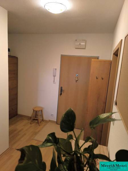 Chodba v 2-pokojovém bytě s podlahou s dřevěným dekorem a zelenou rostlinou.