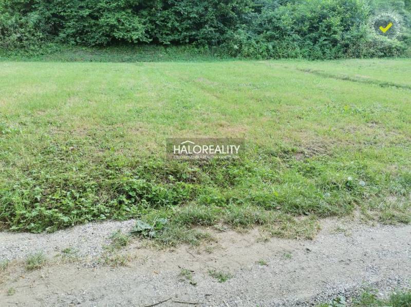 Pozemky - bydlení v Modrové zahrnují travnatou plochu u lesa s cestou.