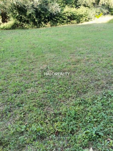 Pozemek na bydlení v Modrové, vhodný pro výstavbu v přírodním prostředí.