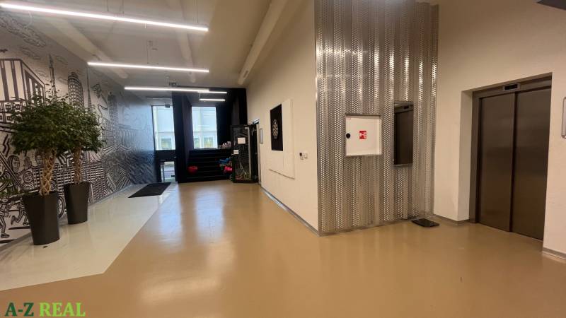 Chodba v kancelářích s lesklou podlahou, výtahem a dekorativní stěnou s rostlinami.