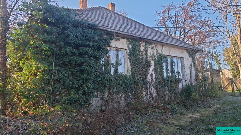 Chata v Suchej nad Parnou zarostlá břečťanem s okolní vegetací.