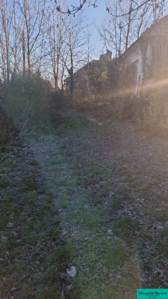 Příjezdová cesta k chatě v Suché nad Parnou obklopená stromy a keři.