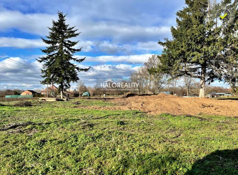 Zeleň a stromy na pozemcích - bydlení v Ondřejovicích pod modrou oblohou.