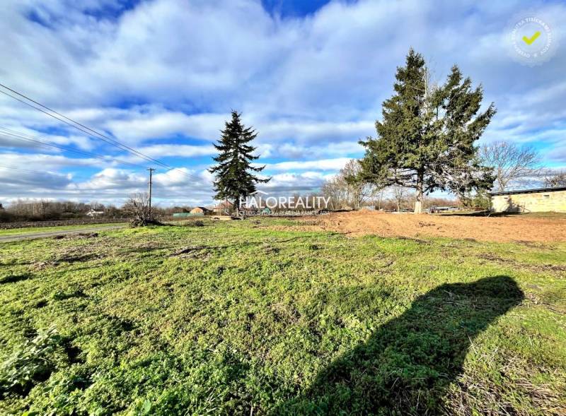 Travnatý pozemek s jehličnatými stromy v Ondřejovicích, ideální pro bydlení.